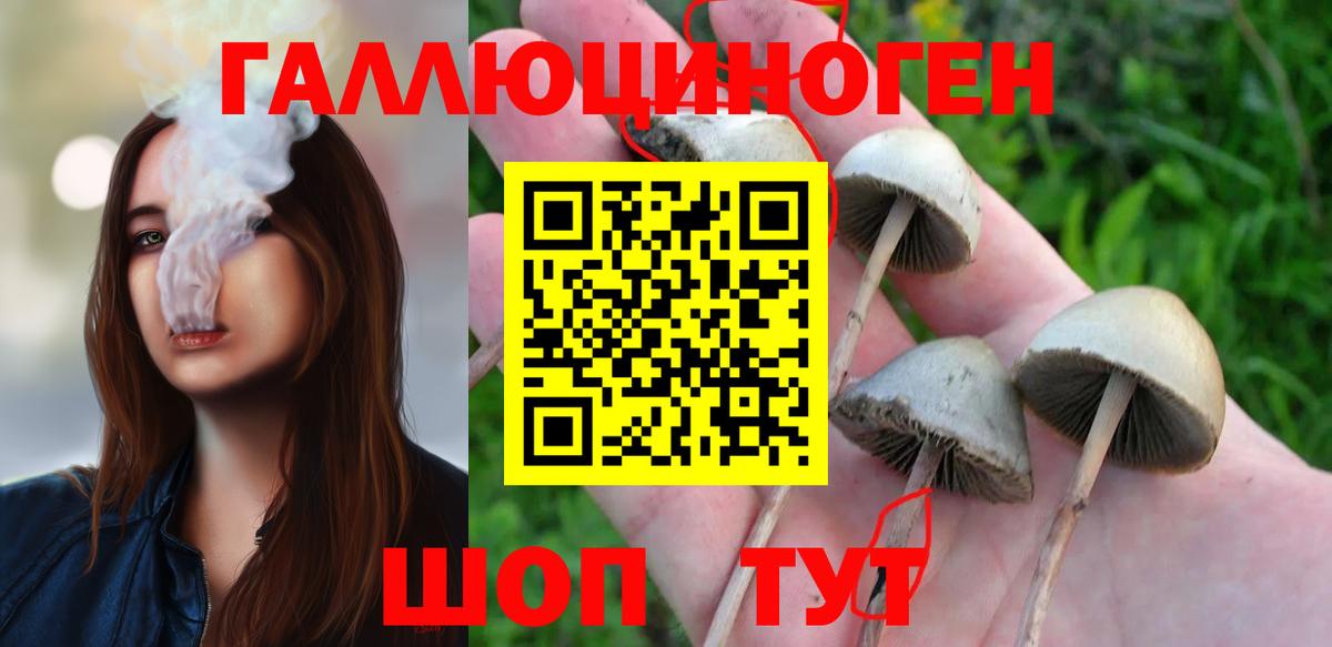 Конаково  Галлюциногенные грибы Magic Shrooms  Вход с VPN 
