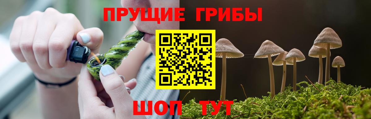 Галлюциногенные грибы мицелий Конаково